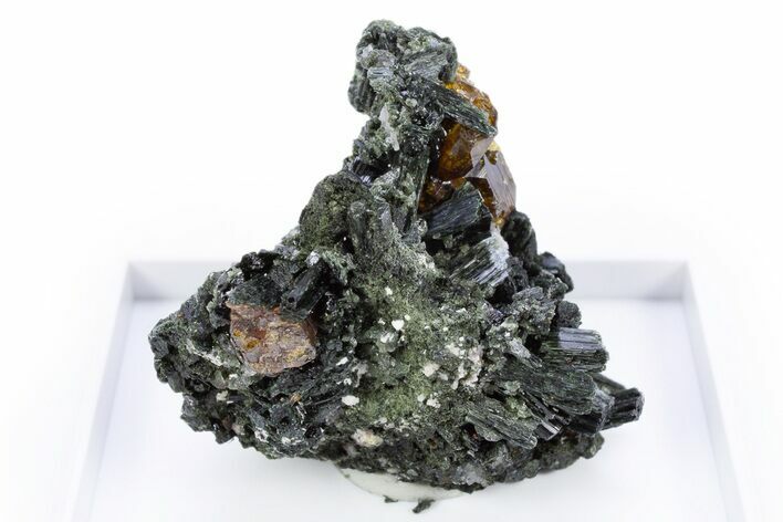 Lustrous Andradite (Topazolite) Garnets in Actinolite - Iran #305428